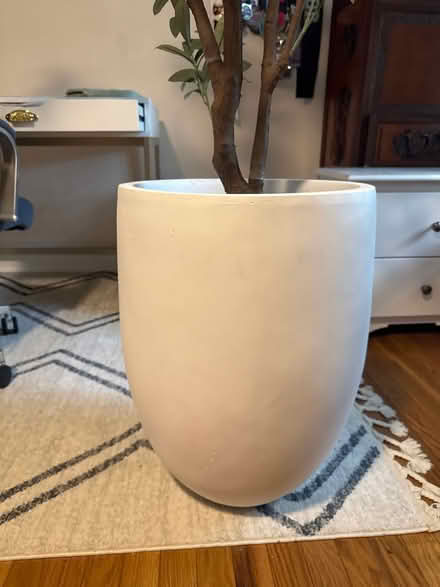 Photo of free Faux olive tree in pot (Arnold) #3