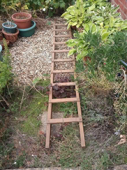 Photo of free Ladder (Stroud GL5) #1