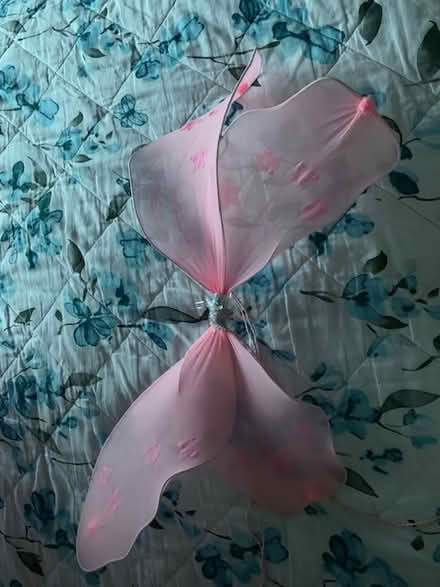 Photo of free Ben & Holly Umbrella & fairy wings (Gosforth NE3) #3