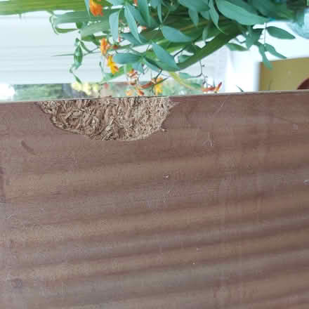 Photo of free Long piece of plywood (Blackhall EH4) #3