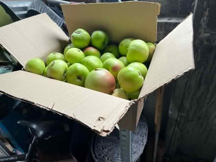 Photo of free Apples (Moortown LS17) #1