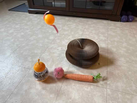 Photo of free Cat toys (Cliffside Park) #1