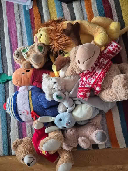 Photo of free Teddies (Dublin 5) #1