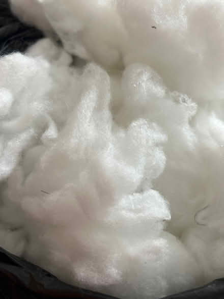 Photo of free White stuffing from cushions (Southport PR8) #1
