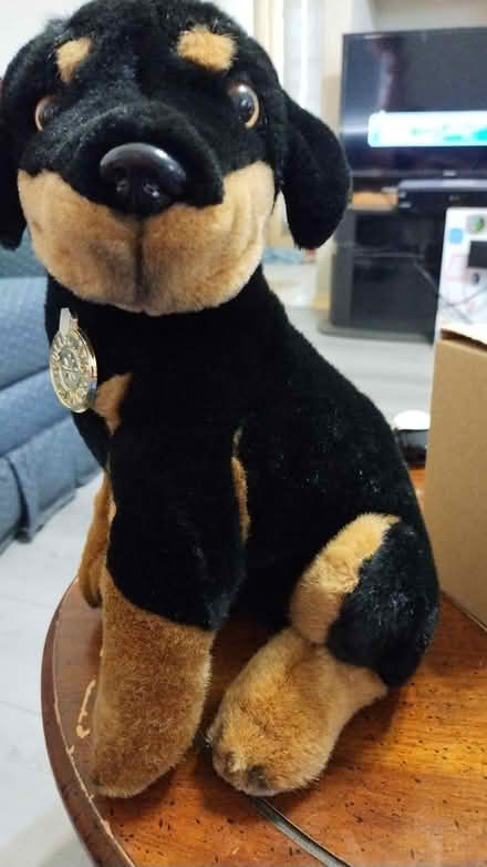 Photo of free Stately stuffed dog (Allen) #1