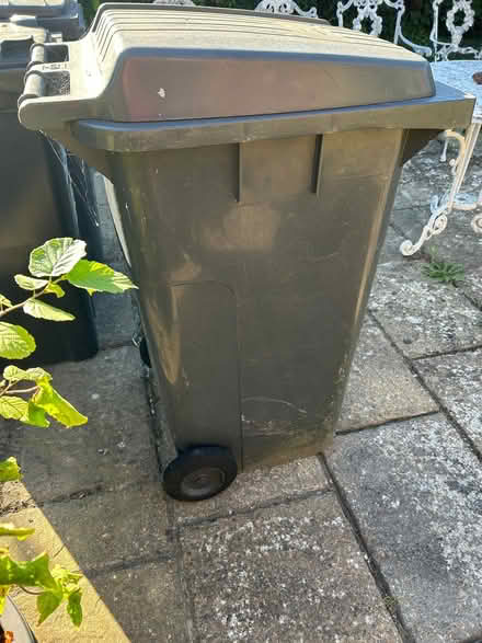 Photo of free Large wheely bin (Hellingly BN27) #2