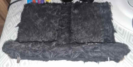 Photo of free Cat shelf (Longsight M13) #2