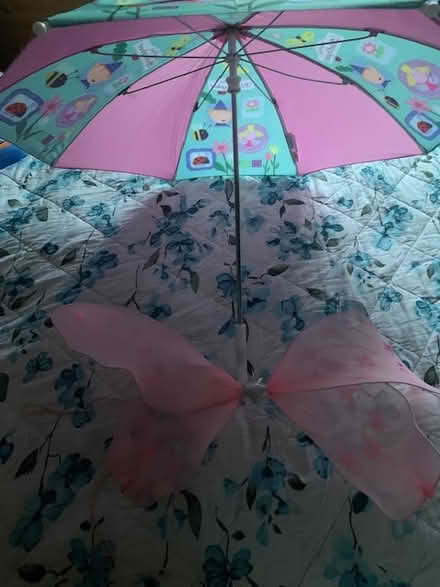 Photo of free Ben & Holly Umbrella & fairy wings (Gosforth NE3) #1