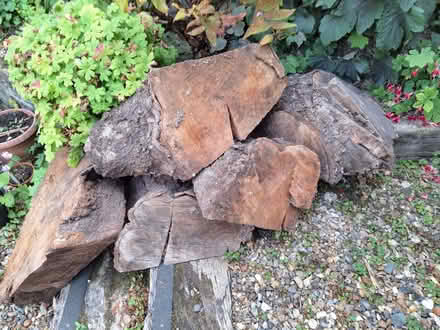 Photo of free Firewood (ME10) #1