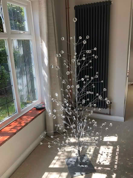 Photo of free Christmas Tree (Lindfield RH16) #1