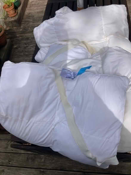 Photo of free Mattress topper (Cupar KY15) #1
