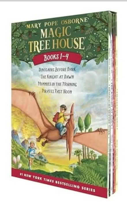 Photo of free Set of 4 books (Elmstead Market CO7) #1
