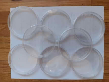 Photo of free 8 Petri Dishes (Eastern Lake View Terrace) #1