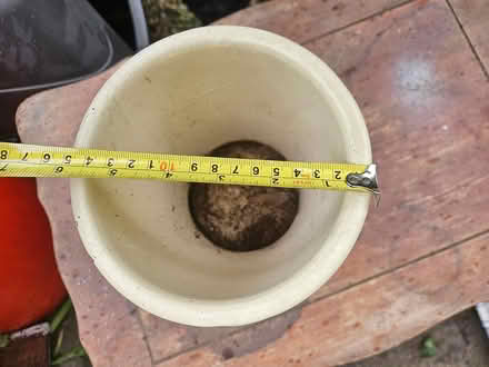 Photo of free green ceramic plant pot (Roxbury) #1