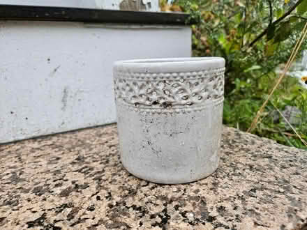 Photo of free ornamental plant pot (Roxbury) #1