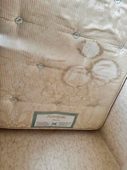 Photo of free Sealy Single Mattress (Finedon NN9) #3