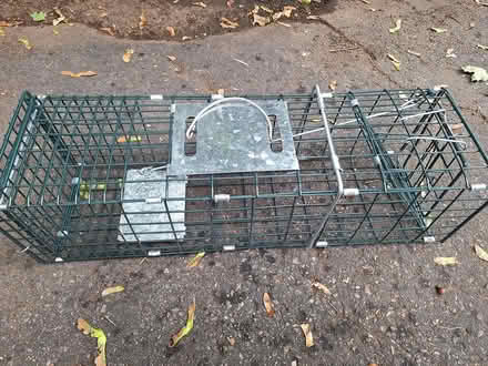 Photo of free Have a heart trap (Lexington near Wilson Farms) #1