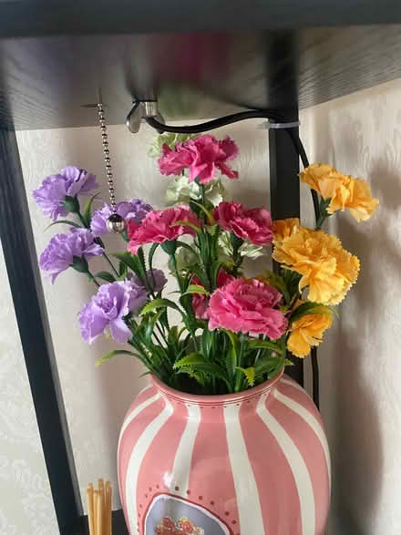 Photo of free Artificial carnations (Southdown) #1