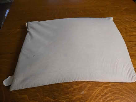 Photo of free Buckwheat pillow (Near Sugarcreek Reserve) #1