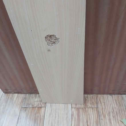 Photo of free Even longer piece of Contiboard (Blackhall EH4) #4