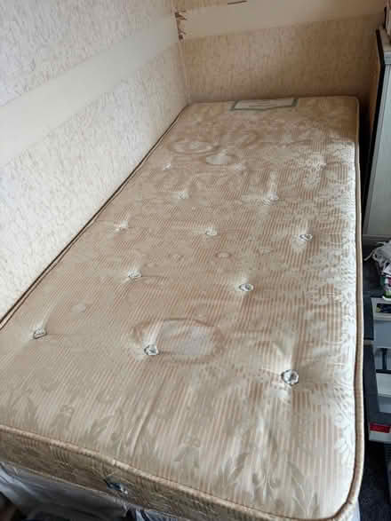 Photo of free Sealy Single Mattress (Finedon NN9) #2