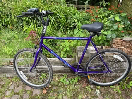 Photo of free Mountain bike. Not used for long time. Been kept in a shed. (St Helens TN35) #1
