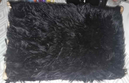 Photo of free Cat shelf (Longsight M13) #1