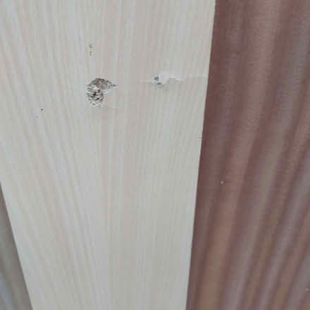 Photo of free Even longer piece of Contiboard (Blackhall EH4) #3