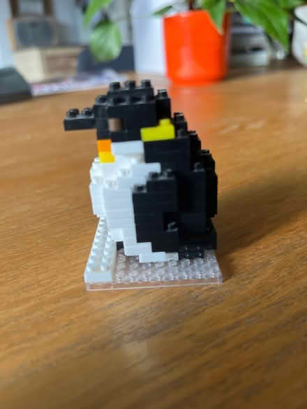 Photo of free Nano block penguin (Scotstounhill G14) #3