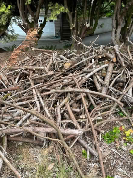 Photo of free wood (Bellevue) #1