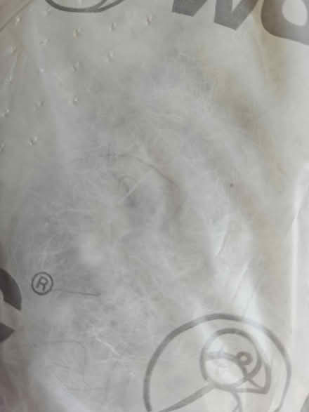 Photo of free Pure wool (Clapton E5) #3