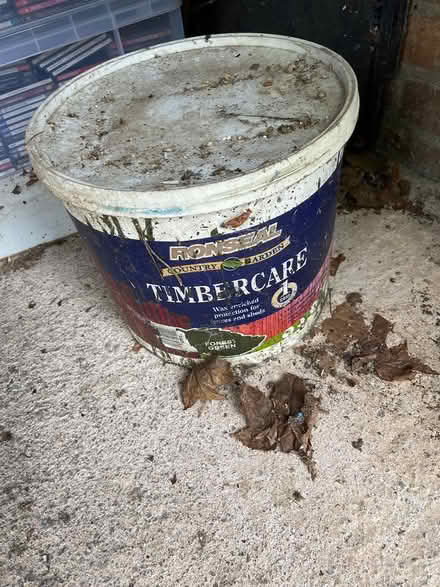 Photo of free Ronseal Timbercare (Keynsham) #1