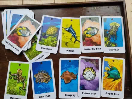 Photo of free Sea fishing playing card game (Henleaze Ward BS9) #1
