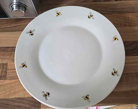 Photo of free Set of 4 Dunelm Bee Plates (Leicester, LE1) #1