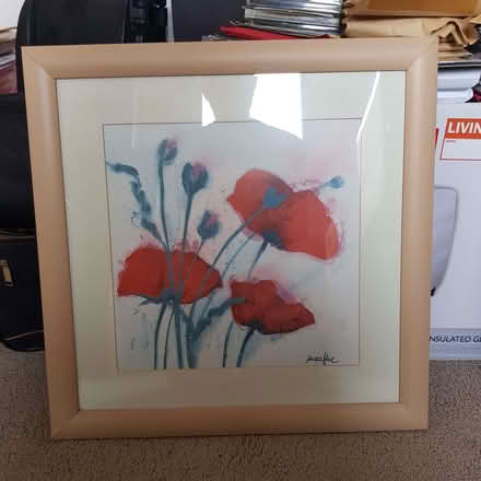 Photo of free Poppy Framed Pictures (Penzance TR18) #2