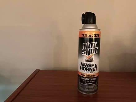 Photo of free Wasp & hornet killer (Catonsville near old EC) #1