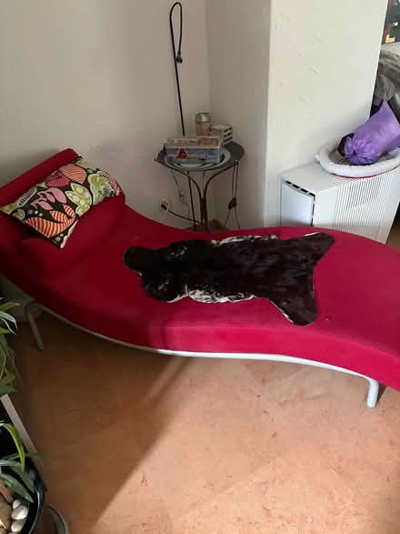 Photo of free Chaise lounge to update/upcycle (Münchenstein) #2