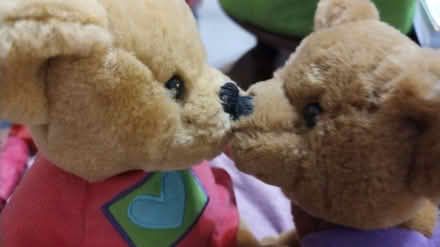 Photo of free valentine teddy beara (Allen) #2