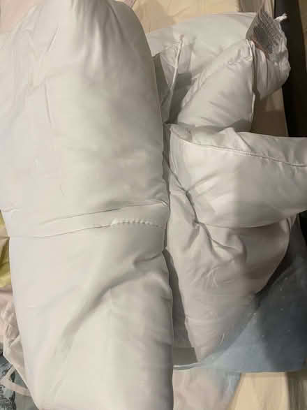 Photo of free Duvet (Tooting SW17) #1
