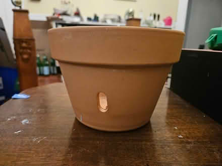 Photo of free 7" orchid pot (Roxbury) #1