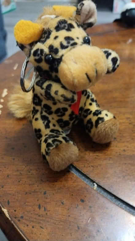 Photo of free keychain (Allen) #1