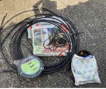 Photo of free Allotment / gardening stuff (Taverham NR8) #2