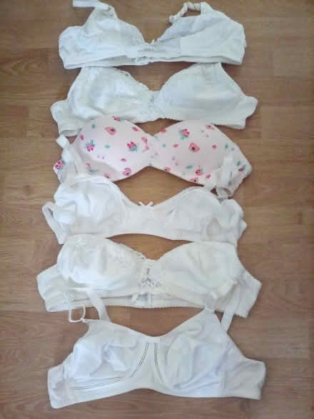 Photo of free Ladies bras (Shipley, BD18) #1