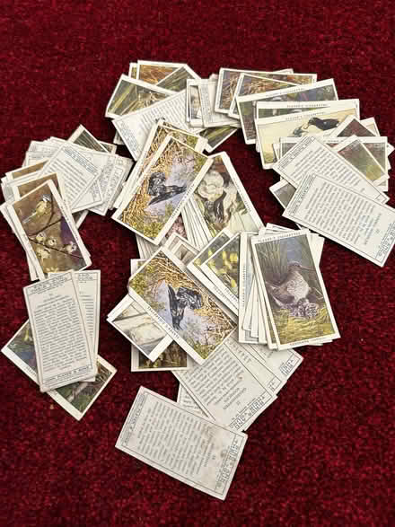 Photo of free Tea cards (Dallington) #1