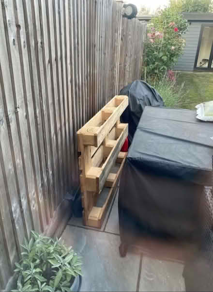 Photo of free Wood pallet (Norbiton KT2) #1