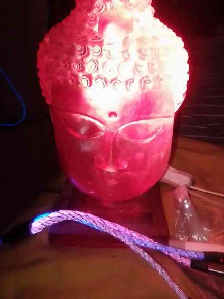 Photo of free Hot Pink Buddha Head 10031 (Hamilton Heights 10031) #2