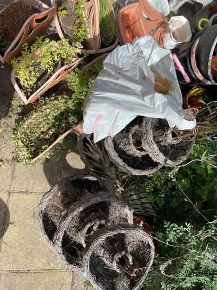 Photo of free Garden bits (Denton) #1