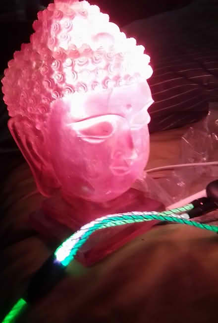 Photo of free Hot Pink Buddha Head 10031 (Hamilton Heights 10031) #1