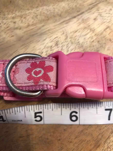 Photo of free Pink dog collar s/m (Egerton Park CH42) #2