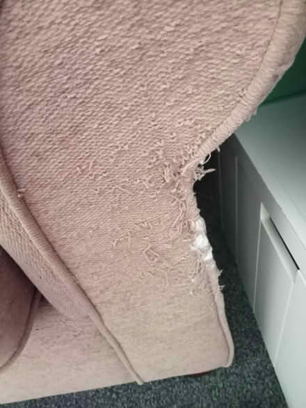 Photo of free Sofabed (Cramlington NE23) #4